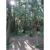 Photo France Villeneuve Loubet Parc de Vaugrenier 2006-09 11