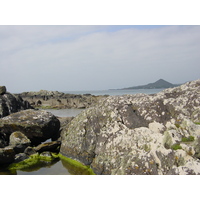 Photo Irlande Kerry Parknasilla 2004-05 48