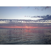 Photo France La Plaine sur mer 2013-06 14