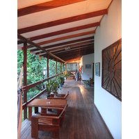 Photo Costa Rica Montezuma 2015-03 406