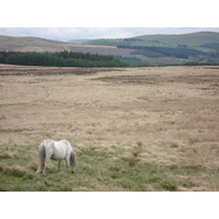 Photo Royaume-Uni Parc national des Brecon Beacons 2006-05 17