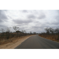 Photo Afrique du Sud Parc National Kruger 2008-09 194