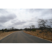 Photo Afrique du Sud Parc National Kruger 2008-09 197