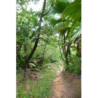 Photo Seychelles Anse Lazio 2011-10 126