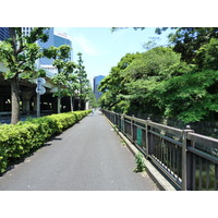 Photo Japon Tokyo Jardins Hama rikyu 2010-06 16