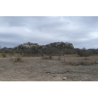 Photo Afrique du Sud Parc National Kruger 2008-09 2