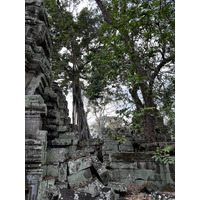 Photo Cambodge Siem Reap Ta Prohm 2023-01 6