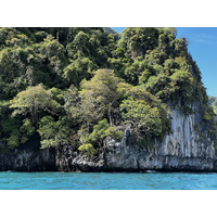 Photo Thaïlande Ko Phi Phi Ley 2021-12 124