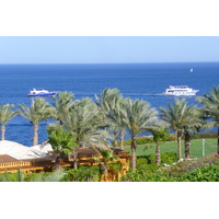 Photo Égypte Sharm el Sheikh Hotel Four Seasons 2008-06 17