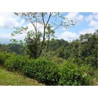 Photo Costa Rica Turrialba 2015-03 58