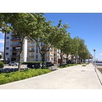 Photo France Saint Nazaire 2013-06 2