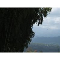Photo Costa Rica Turrialba 2015-03 50