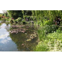 Photo France Giverny 2013-06 214