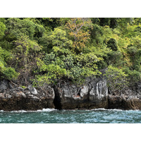 Photo Thaïlande Ko Phi Phi Ley 2021-12 19