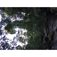 Photo Thaïlande Parc National Phu Hin Rong Kla 2014-12 379