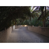 Photo Émirats arabes unis Al Ain Oasis 2005-03 9