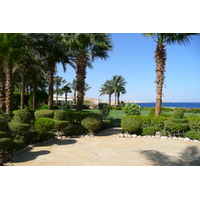 Photo Égypte Sharm el Sheikh Hotel Four Seasons Plage du Four Seasons 2008-06 29