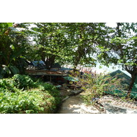Photo Thaïlande Pattaya Plage Cosy 2011-01 21