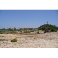 Photo Israel Nitzan 2007-06 71