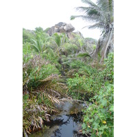 Photo Seychelles La Digue 2011-10 237