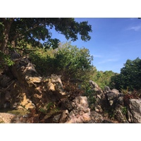 Photo Thaïlande Ko Samet 2016-12 41