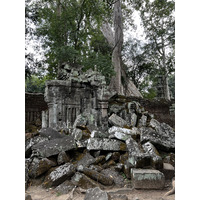 Photo Cambodge Siem Reap Ta Prohm 2023-01 81