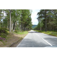 Photo Royaume-Uni Écosse Les Cairngorms Invercauld Bridge 2011-07 14