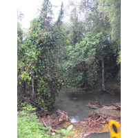 Photo Costa Rica Puerto Viejo de Talamanca 2015-03 7