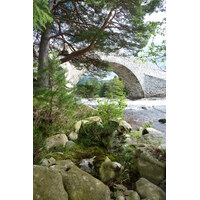 Photo Royaume-Uni Écosse Les Cairngorms Invercauld Bridge 2011-07 13
