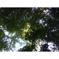 Photo Thaïlande Parc National Phu Hin Rong Kla 2014-12 160