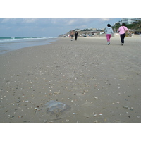Photo Israel Herzliya 2006-12 89