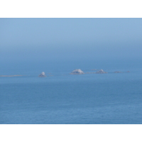 Photo Jersey Jersey Plemont 2010-04 24