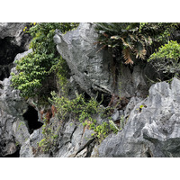 Photo Thaïlande Krabi 2023-01 237