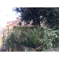 Photo Croatie Dubrovnik 2016-04 176