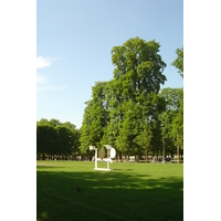 Photo France Paris Jardin des Tuileries 2007-05 62