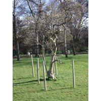 Photo France Paris Parc Monceau 2006-03 40