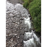 Photo Costa Rica Turrialba 2015-03 33