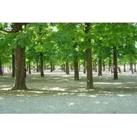 Photo France Paris Jardin des Tuileries 2007-05 383