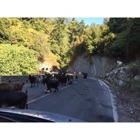Photo France Corse Felce 2017-09 10