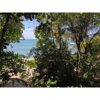 Photo Costa Rica Parc Manuel Antonio 2015-03 311