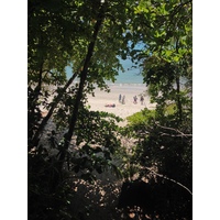 Photo Costa Rica Parc Manuel Antonio 2015-03 277