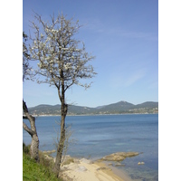 Photo France Saint Tropez 2002-03 62
