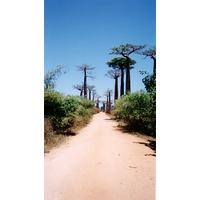Photo Madagascar Morondava 1999-10 18
