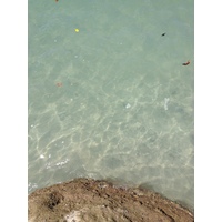 Photo Costa Rica Parc Manuel Antonio 2015-03 360