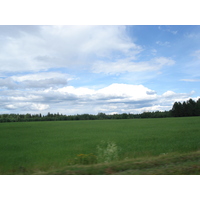 Photo Russie Route de Iaroslavl à Saint-Pétersbourg 2006-07 29