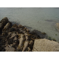 Photo Irlande Kerry Parknasilla 2004-05 1