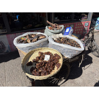 Photo Chine Lijiang 2026-01 66