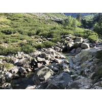 Photo France Corse La Restonica 2020-07 130