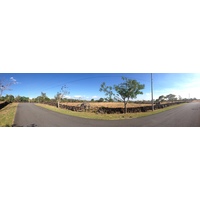 Photo Panama Boquete 2015-03 134
