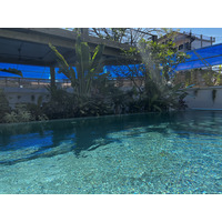 Photo Cambodge Siem Reap Hôtel Khmer House Boutique 2023-01 12